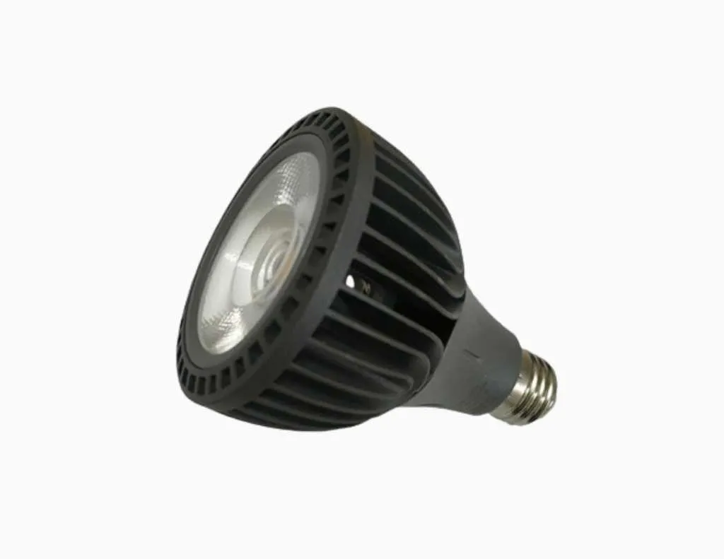 Luxon Par 30 Watt